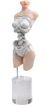 Android EL01 Torso ver.1