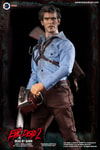 Ash Williams (Luxury Edition) Exclusive Edition (Prototype Shown) View 14