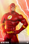 The Flash Collector Edition - Prototype Shown