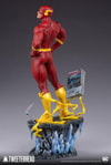 The Flash Collector Edition (Prototype Shown) View 8
