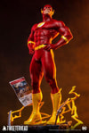 The Flash Collector Edition - Prototype Shown
