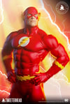 The Flash Exclusive Edition - Prototype Shown