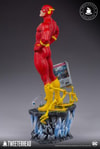The Flash Exclusive Edition (Prototype Shown) View 7