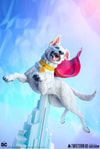 Krypto (Prototype Shown) View 22