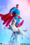 Krypto (Prototype Shown) View 20