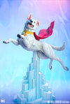 Krypto (Prototype Shown) View 19