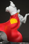 Krypto (Prototype Shown) View 8