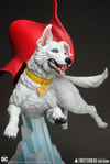 Krypto (Prototype Shown) View 7