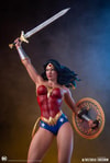 Wonder Woman (Prototype Shown) View 21