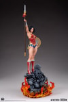 Wonder Woman (Prototype Shown) View 13