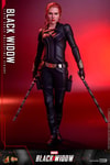 Black Widow Collector Edition - Prototype Shown