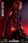 Black Widow Collector Edition - Prototype Shown