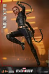 Black Widow (Special Edition)