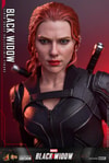 Black Widow (Special Edition)