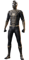 Spider-Man (Black & Gold Suit) (Prototype Shown) View 11
