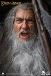 Gandalf the Grey (Ultimate Edition)