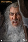 Gandalf the Grey (Ultimate Edition)
