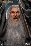 Gandalf the Grey (Ultimate Edition)