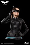 Catwoman (Selina Kyle)