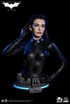 Catwoman (Selina Kyle)- Prototype Shown