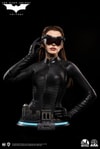 Catwoman (Selina Kyle) (Prototype Shown) View 13