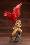 Hawks