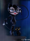 Catwoman Mini Co.