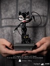 Catwoman Mini Co.