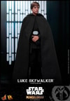 Luke Skywalker Collector Edition (Prototype Shown) View 1