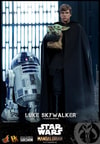 Luke Skywalker (Special Edition) Exclusive Edition - Prototype Shown