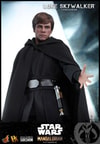 Luke Skywalker (Special Edition) Exclusive Edition (Prototype Shown) View 9