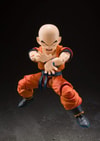Krillin (Earth’s Strongest Man) View 6
