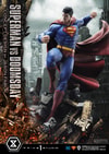 Superman VS Doomsday Collector Edition View 16