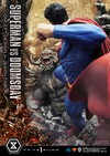 Superman VS Doomsday Collector Edition View 17