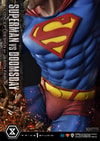 Superman VS Doomsday Collector Edition View 22