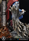 Superman VS Doomsday Collector Edition View 26