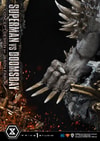 Superman VS Doomsday Collector Edition View 27