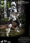 Scout Trooper™