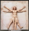 Vitruvian Man Figma- Prototype Shown