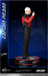 Captain Picard (Prototype Shown) View 23