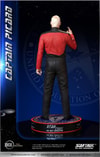 Captain Picard (Prototype Shown) View 25