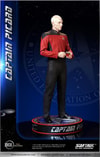 Captain Picard (Prototype Shown) View 22