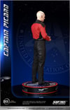 Captain Picard (Prototype Shown) View 32