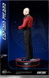 Captain Picard (Prototype Shown) View 35