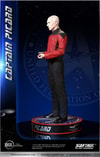 Captain Picard (Prototype Shown) View 36