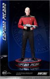 Captain Picard (Prototype Shown) View 37