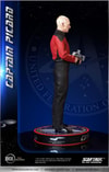 Captain Picard (Prototype Shown) View 31