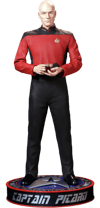 Captain Picard (Prototype Shown) View 40