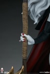 Lady Death (Prototype Shown) View 16