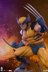 Wolverine View 18